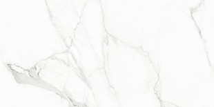 Керамогранит Naxos Ceramica Rhapsody White Beauty Naturale Rettificato 120126 60x120 см